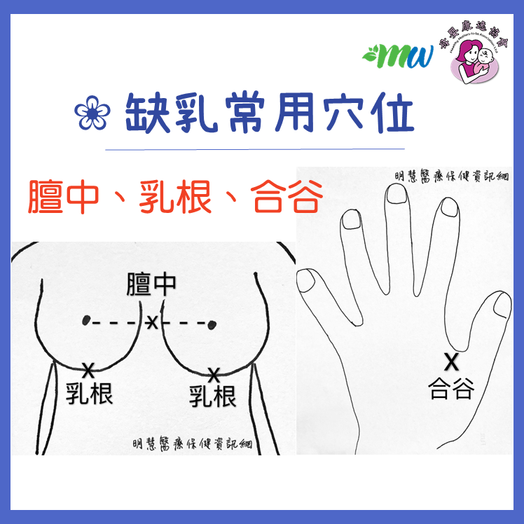 缺乳常用穴位